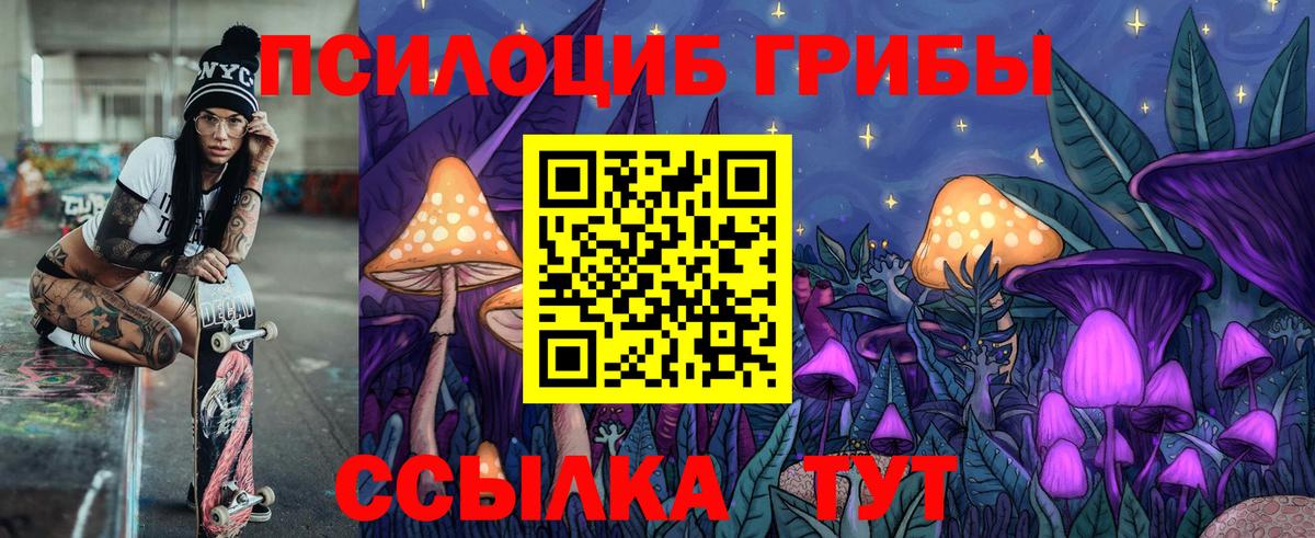 Псилоцибиновые грибы Psilocybine cubensis Омск