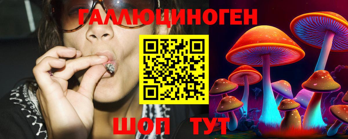 Омск  Псилоцибиновые грибы MAGIC MUSHROOMS  Вход с VPN 